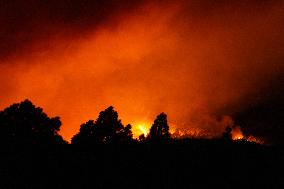 Wildfires Rage in Tenerife - Canary Islands