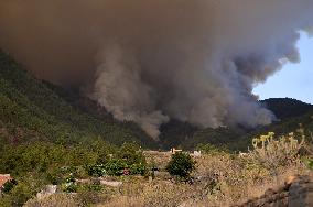 Wildfire On Spain's Tenerife Burning 'Out Of Control'
