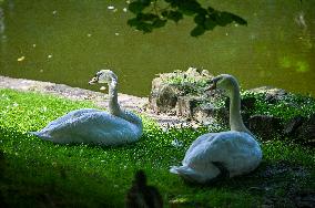 Stryiskyi Park in Lviv