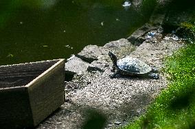 Stryiskyi Park in Lviv