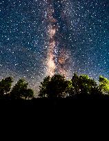 The Milky Way Is Seen Over The Forest In Haputale