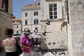 Tourism In Dubrovnik, Croatia