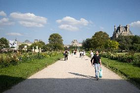 Parisian Right bank during Summer - Paris