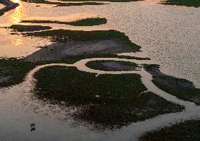 ELKS Play in The Tidal Flat Wetland in Yancheng