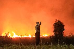 Forest Fires And Peatlands In South Sumatra On The Eve Of The 78th Anniversary Of Indonesia's Independence Day
