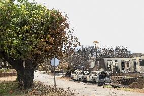 Aftermath of Maui wildfires