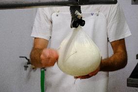 Mahon Cheese Making - Menorca