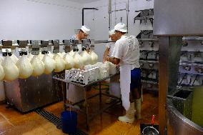 Mahon Cheese Making - Menorca