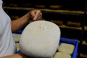 Mahon Cheese Making - Menorca