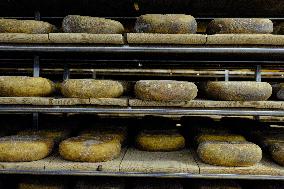 Mahon Cheese Making - Menorca