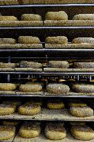 Mahon Cheese Making - Menorca