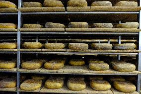 Mahon Cheese Making - Menorca