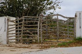 Mahon Cheese Making - Menorca