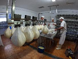 Mahon Cheese Making - Menorca