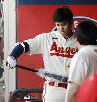 Baseball: Rays vs. Angels