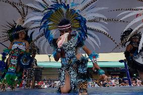 Principe De Seda, Mexican Wrestler, Performs In Xochimilco, Mexico City