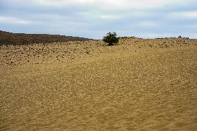 Pictures From Lemnos Island In Greece