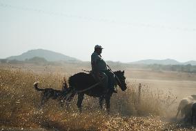 Pictures From Lemnos Island In Greece