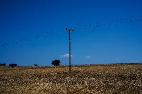 Pictures From Lemnos Island In Greece