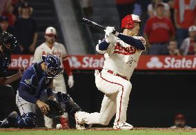 Baseball: Rays vs. Angels