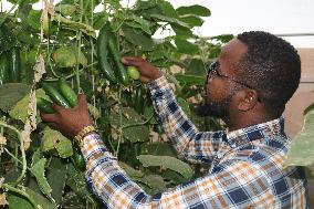 SOMALIA-BAIDOA-YOUTH-CLIMATE-SMART-FARMING