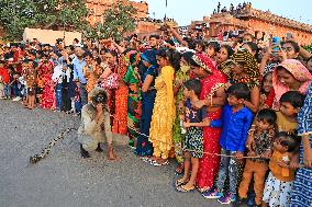 Teej Festival In Jaipur