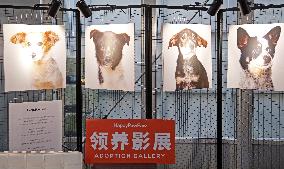 Asian Pet Show Public Day in Shanghai, China