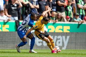 Wolverhampton Wanderers v Brighton & Hove Albion - Premier League