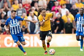 Wolverhampton Wanderers v Brighton & Hove Albion - Premier League