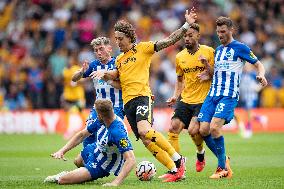 Wolverhampton Wanderers v Brighton & Hove Albion - Premier League