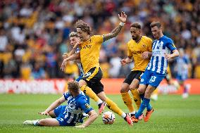 Wolverhampton Wanderers v Brighton & Hove Albion - Premier League