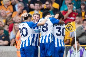 Wolverhampton Wanderers v Brighton & Hove Albion - Premier League