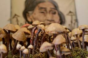 Mushroom Fair In Mexico City