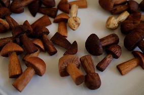 Mushroom Fair In Mexico City