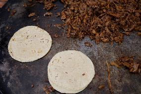 Mushroom Fair In Mexico City