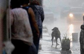 Heavy Rains Are Recorded In Mexico City Due To Tropical Cyclone Hilary