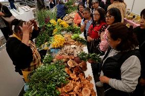 Mushroom Fair In Mexico City