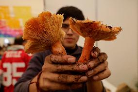 Mushroom Fair In Mexico City