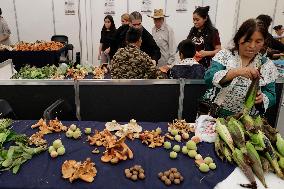 Mushroom Fair In Mexico City