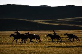 MONGOLIA-ULAN BATOR-NOMADIC CULTURE-FESTIVAL