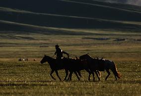 MONGOLIA-ULAN BATOR-NOMADIC CULTURE-FESTIVAL