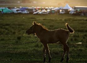 MONGOLIA-ULAN BATOR-NOMADIC CULTURE-FESTIVAL