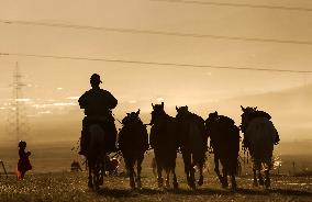 MONGOLIA-ULAN BATOR-NOMADIC CULTURE-FESTIVAL