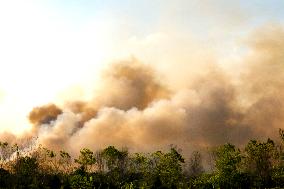 INDONESIA-PALANGKARAYA-PEATLAND FIRE