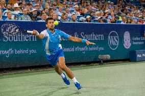 Western & Southern Open Semifinals: Djokovic Vs. Zverev