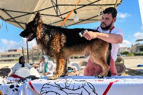 EGYPT-MATROUH-PET CARNIVAL