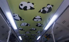 Panda Bus Appear in Hangzhou