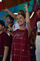 Claudia Sheinbaum Campaigns - Mexico