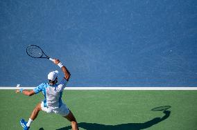 Western & Southern Open Men's Finals: Djokovic Vs. Alcaraz