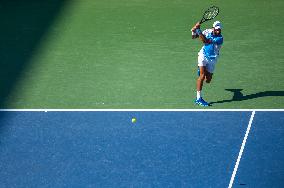 Western & Southern Open Men's Finals: Djokovic Vs. Alcaraz